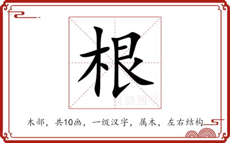 根意思|根的意思，根字的意思